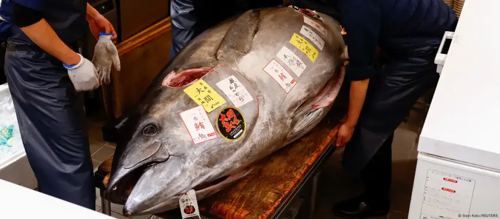 Un solo atún vendido en mercado de Tokio por $1.3 millones de dólares