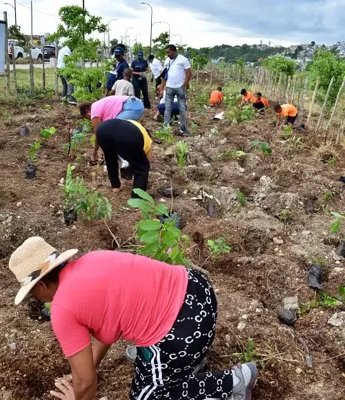 Fundación Ex Alumnos Loyola 79 impulsa reforestación en la margen del río Ozama
