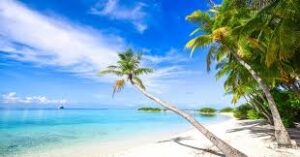 Punta Cana será epicentro del diálogo entre música y turismo