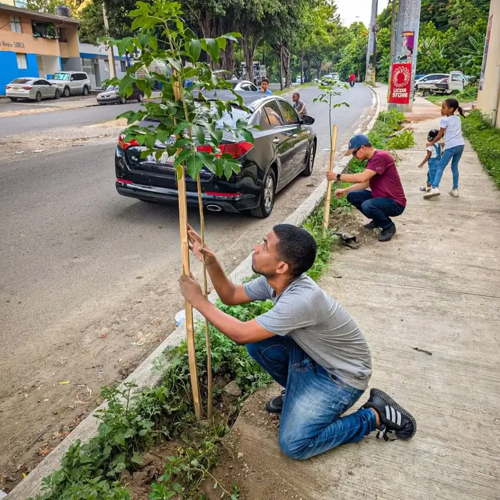 Alcaldía del DN planta 140 árboles
