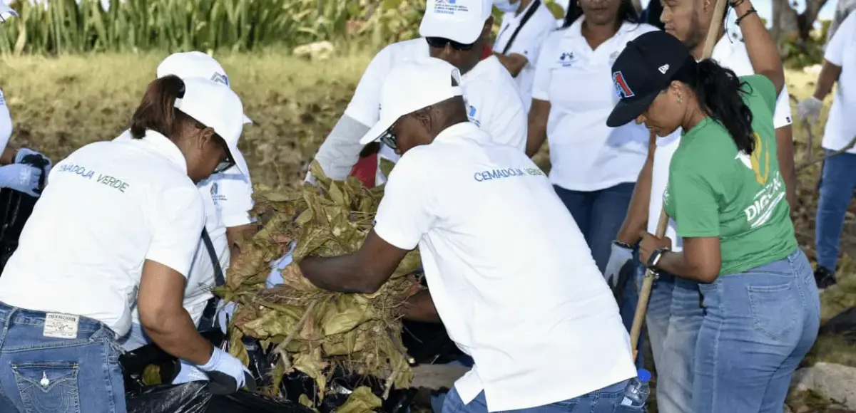 Digecac, Cemadoja y Eco-Joven realizan jornada de recogida de plásticos en la Autopista Las Américas