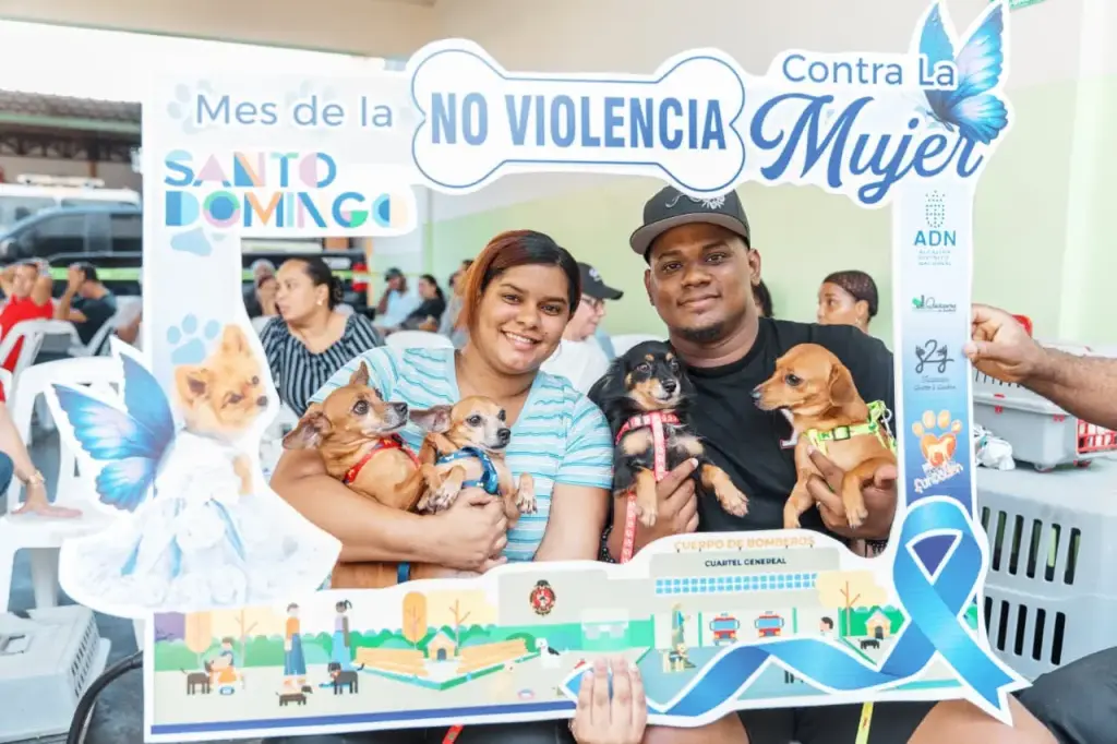 Alcaldía del DN realiza jornada gratuita de esterilización y vacunación de perros y gatos