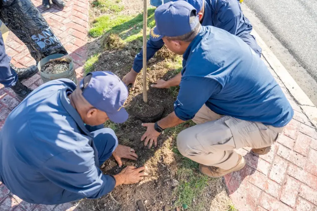 Alcaldía DN continúa Plan de Arbolado Urbano con siembra de 150 árboles