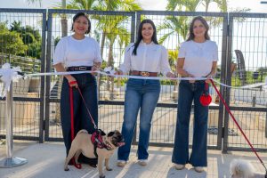Playa Nueva Romana inaugura su primer parque canino: The Paw Zone