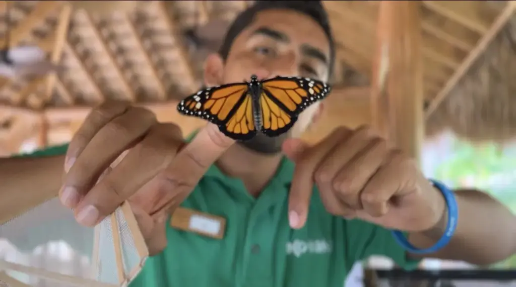 Fundación Eco-Bahia de Piñero lidera la conservación nacional con resultados históricos en 2025
