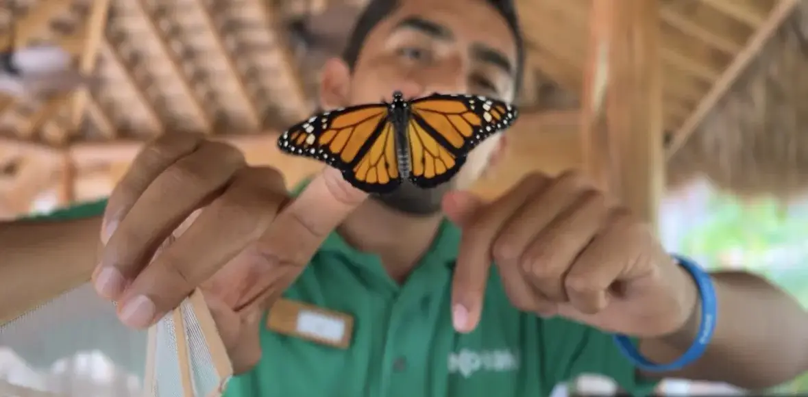 Fundación Eco-Bahia de Piñero lidera la conservación nacional con resultados históricos en 2025