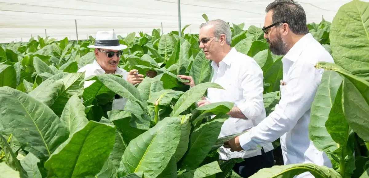 Presidente Abinader visita finca tabacalera “La Milagrosa” de Arturo Fuente en Monte Plata