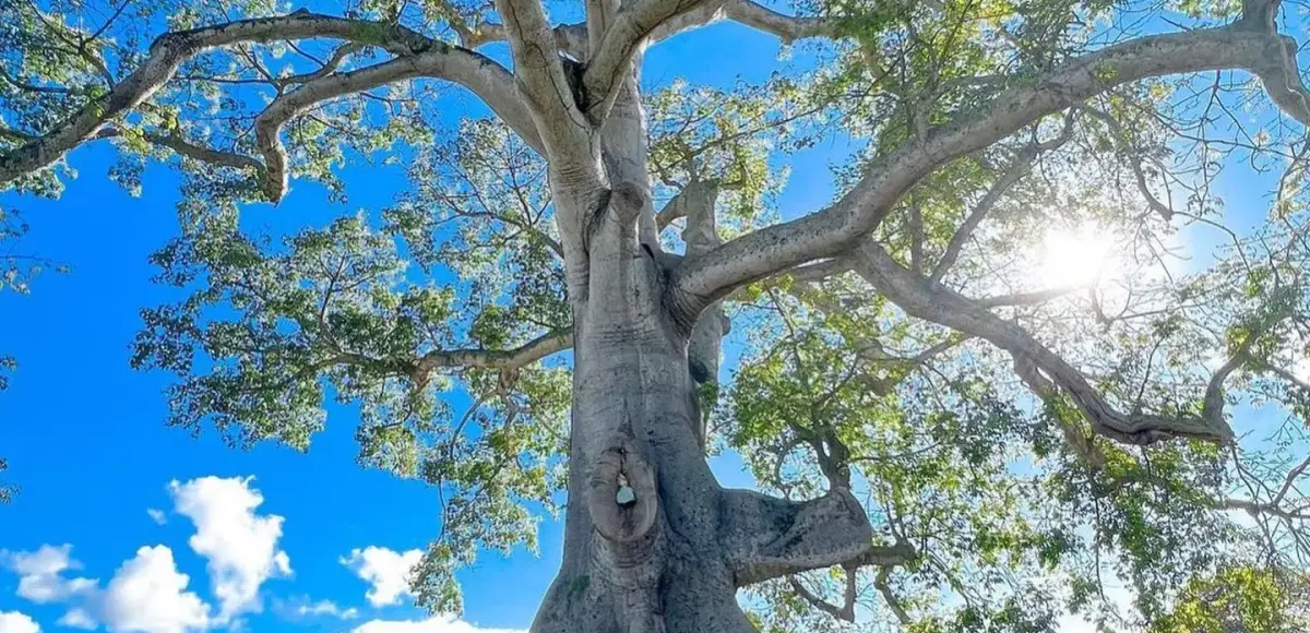Santiago impulsa su posicionamiento turístico con el respaldo masivo a su primera guía oficial