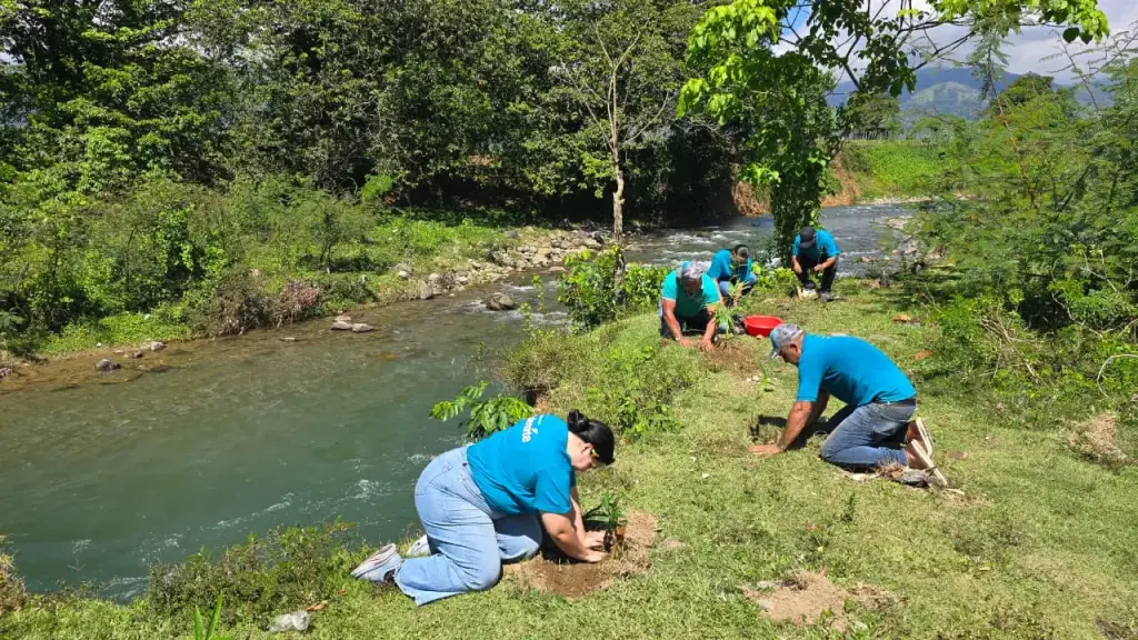 Voluntarios y colaboradores de Edenorte siembran 1,200 árboles