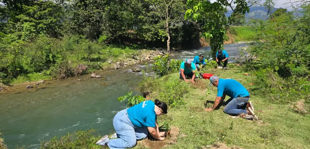 Voluntarios y colaboradores de Edenorte siembran 1,200 árboles