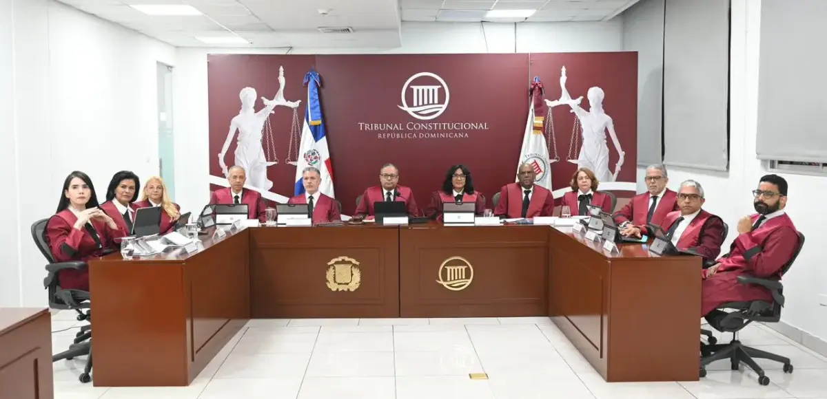 TC marca un hito al conocer 21 acciones directas de inconstitucionalidad en una sola audiencia pública