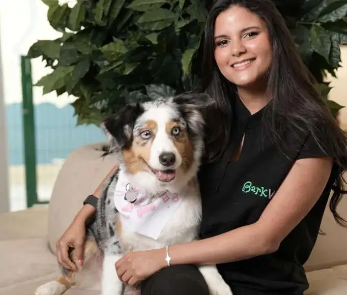 Especialistas llaman a fortalecer la alimentación de mascotas en República Dominicana