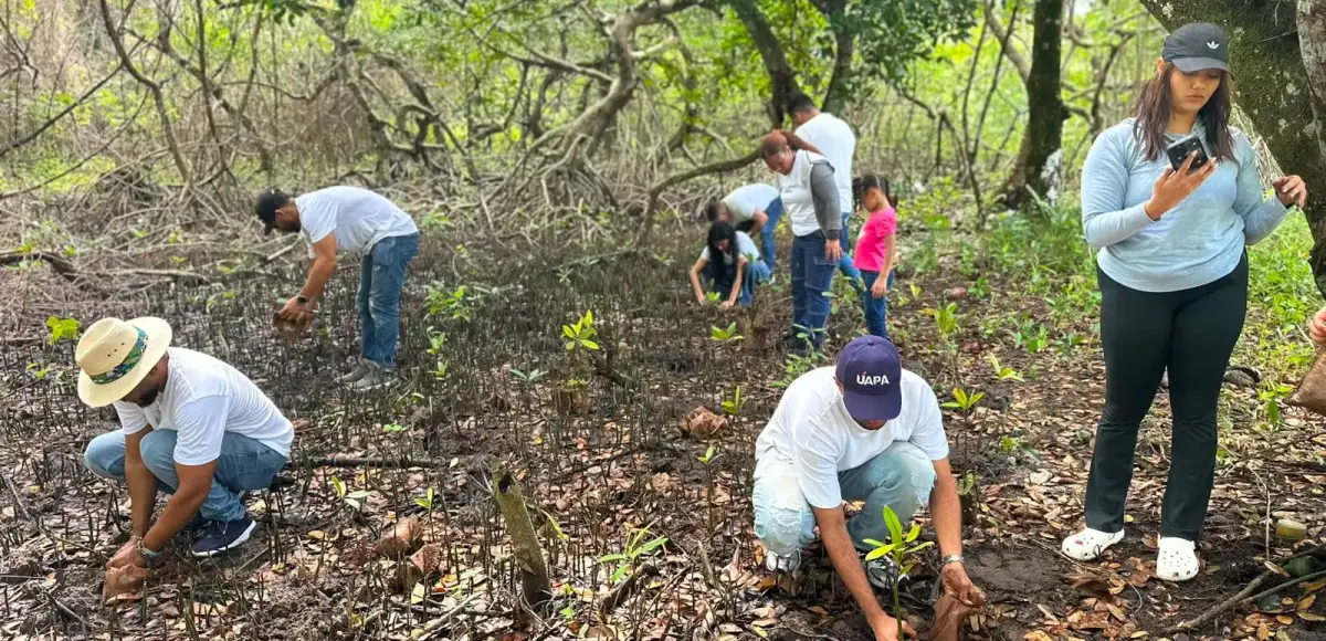 UAPA Nagua, el Clúster Turístico de Samaná y el Ministerio de Medio Ambiente realizaron la jornada "Domingo Verde" con la participación de 45 voluntarios