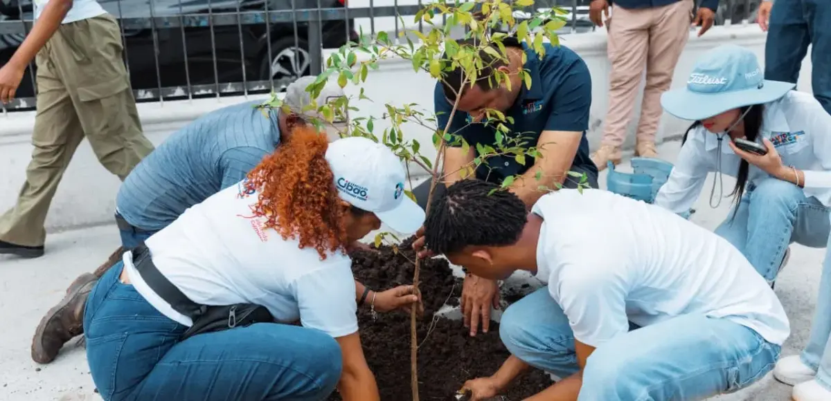 Alcaldía del DN celebra Día Mundial del Medio Ambiente con siembra de árboles y limpieza en playa Güibia