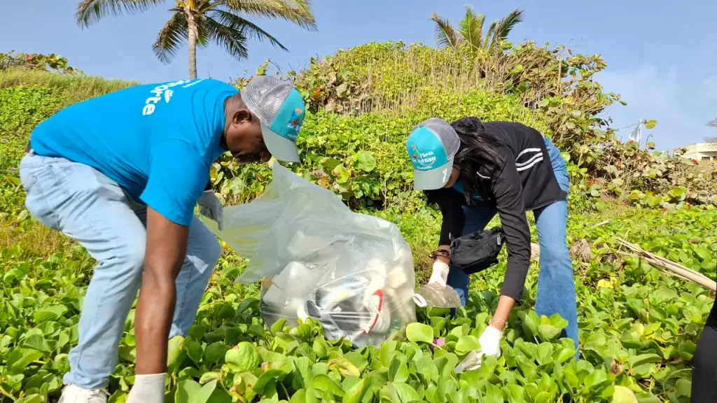 Edenorte retira 1,500 libras de residuos durante jornada de limpieza de playa en Puerto Plata junto a su voluntariado “Manos que Iluminan”