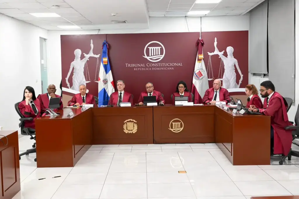 Inclusión, Código Penal y régimen electoral centran audiencia del TC con 23 acciones de inconstitucionalidad