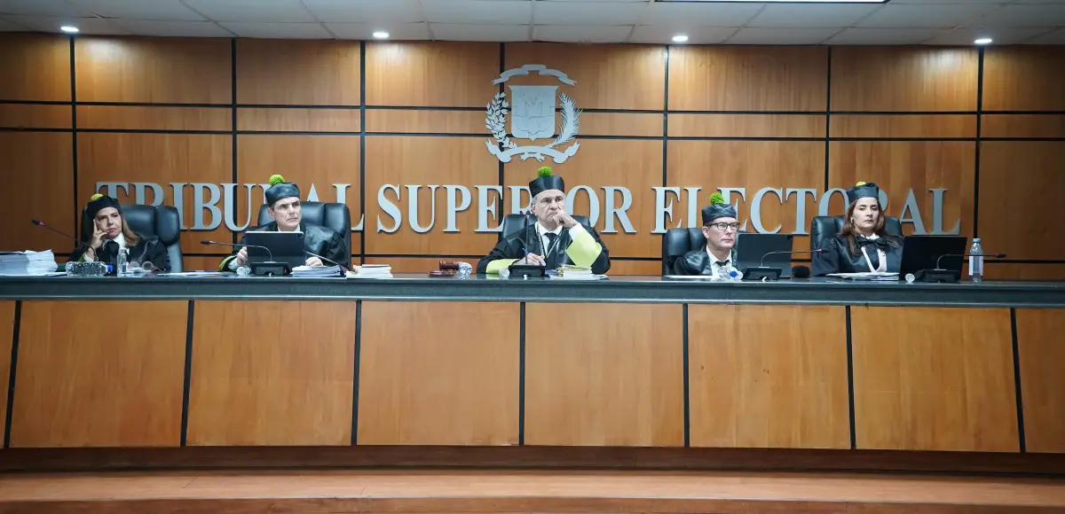 TSE declara inadmisible acción de amparo contra el PLD por ser notoriamente improcedente