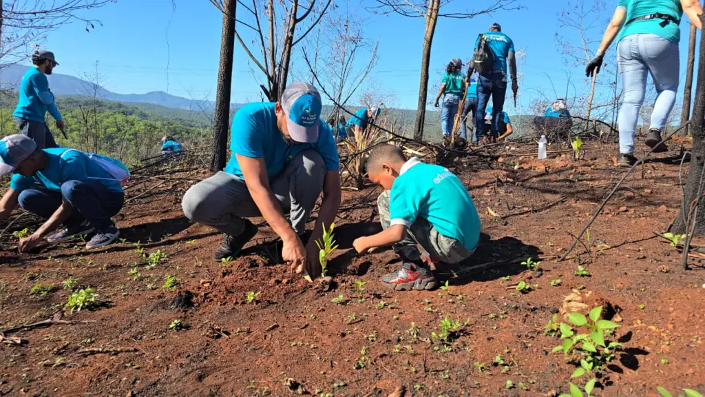 Colaboradores de Edenorte participan en jornada de reforestación con la siembra de 2,000 plantas en Guaigüí